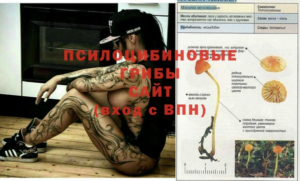 трава Алексеевка